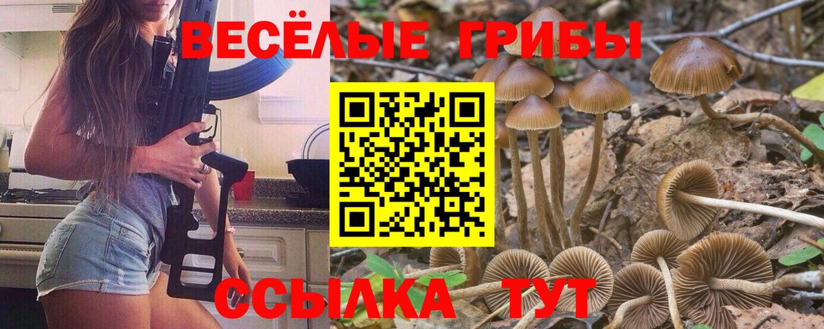 Псилоцибиновые грибы Magic Shrooms Дзержинский