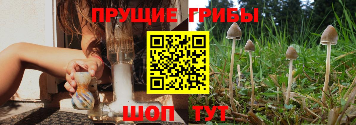 Дзержинский  Псилоцибиновые грибы Psilocybe  Вход с VPN  купить наркотики сайты  Галлюциногенные грибы прущие грибы 